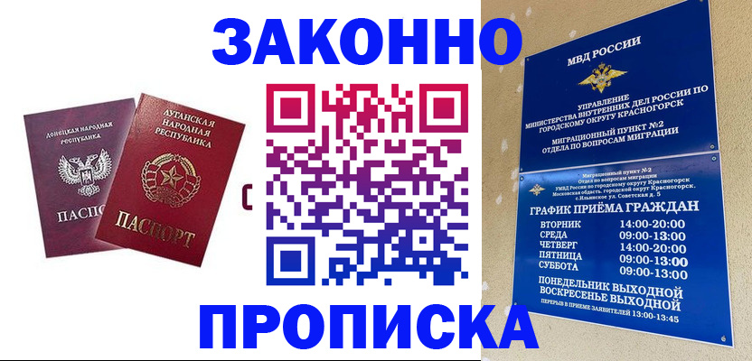прописка в Шатуре
